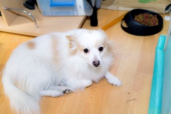 sam_3256_32844973221_o