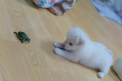 sam_3308_5706350677_o