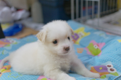 sam_3313_5706351057_o