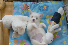 sam_3340_5719101578_o