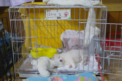 sam_3346_5719104206_o