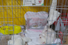 sam_3349_5719105822_o