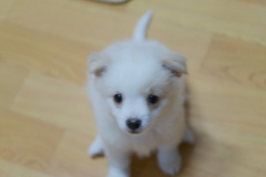 sam_3379_5800342202_o