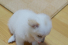 sam_3380_5800343134_o