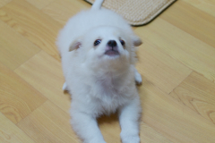 sam_3381_5799791069_o