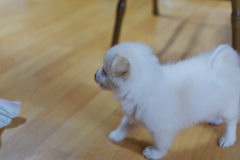 sam_3383_5799794461_o