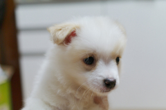 sam_3386_5799797843_o