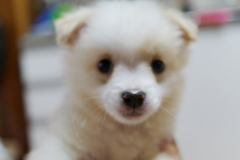 sam_3387_5799798793_o