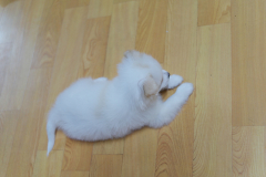 sam_3389_5799802335_o