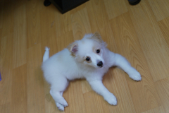 sam_3643_5869165989_o