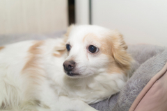 sam_3655200206_49497062167_o