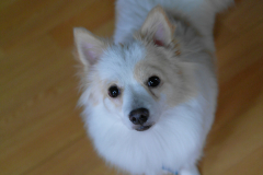 sam_4456_6490621155_o