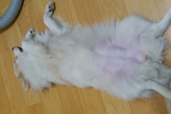 sam_4466_6780548295_o