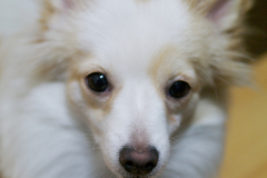 sam_4472_6780553827_o