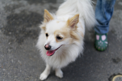 sam_4907_6992758659_o